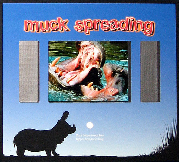 Click to view Video Muck Panel